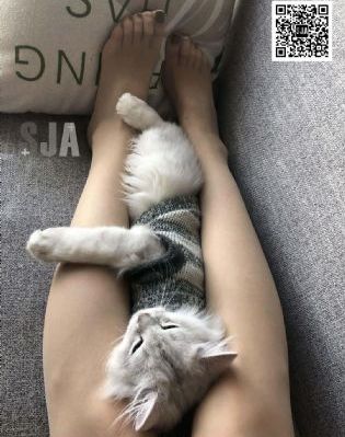 国产不卡视频免费观看_超清在线观看完整版